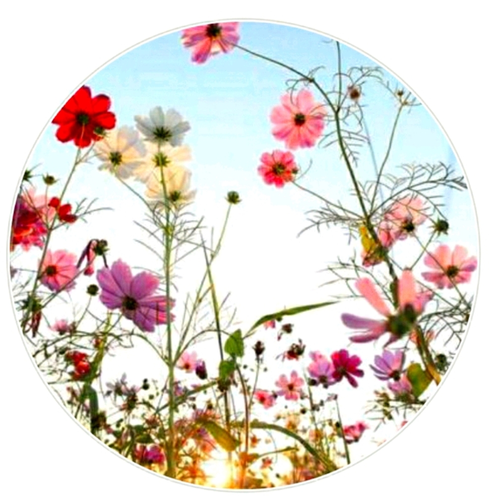 Meet your Posher, LuxeBucks